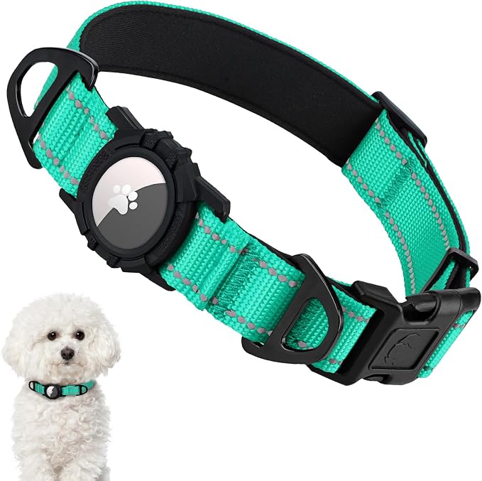Taglory AirTag Dog Collar with Waterproof Holder for Small Dogs, Turquoise | Reflective for Night Walks & Low-Light Safety, Track Your Pup Peace of Mind, Adjustable Soft Padded, No More Dangling Tags