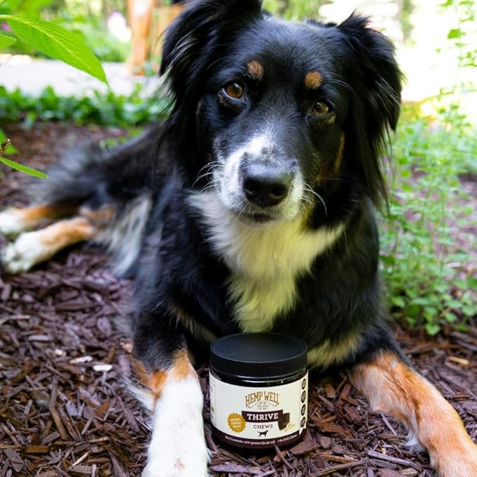 Hemp Well Thrive Chews for Dogs – Support Hip, Joint, and Heart Health, Promotes Immune and Skin Health, Organic. – 8 Count