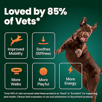 VetriScience Healthy Hip & Joint Chews, GlycoFlex Glucosamine and Green-Lipped Mussel Joint Support Supplement for Dogs, Promote Mobility and Protect Joints, Chicken, 120 Count