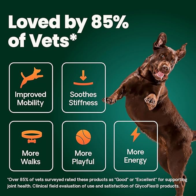 VetriScience Extra Strength Healthy Hip & Joint Chews, GlycoFlex Glucosamine and Green-Lipped Mussel Joint Support Supplement for Dogs, Promote Mobility and Soothe Joint Discomfort, Chicken, 120 Count