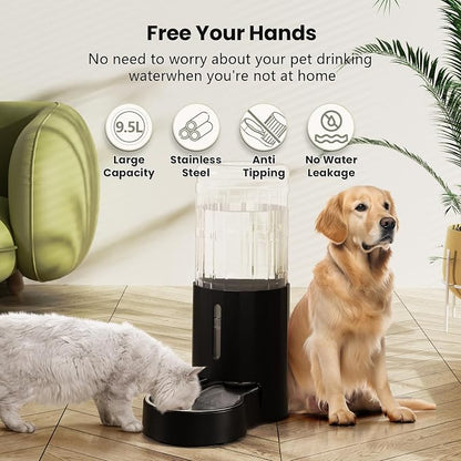 CZPET Dog Water Bowl Dispenser 9.5L, Wider Mouth Gravity Refilling (Black) | With Stainless Steel Bowl Gravity Waterer, Large Capacity and Drinking Area Noise-Free for Pets