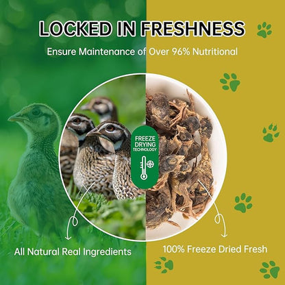 Freeze Dried Quail Cat Dog Treats - Single Ingredient Pet Treats,Natural High-Protein Training Snacks,Grain-Free (3.5oz)