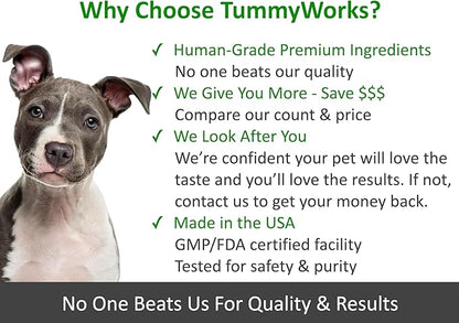 TummyWorks Probiotics for Dogs. 120 Probiotic Soft Chews for Digestive Health, Gut, Immunity, Energy, Allergies, Skin & Coat. 10 Strains, 5 Billion CFUs with 6 Enzymes. Made in USA