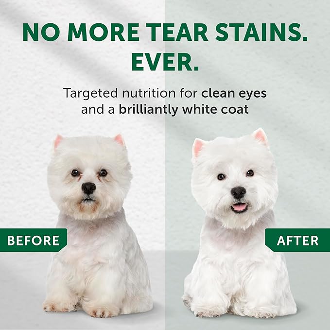 Nature's Protection Dry Dog Food for Small Breed - High Protein, Grain-Free Tear Stain Dog Kibble for White & Light Coated Adult Dogs (Superior Care - Salmon, 22 lb)