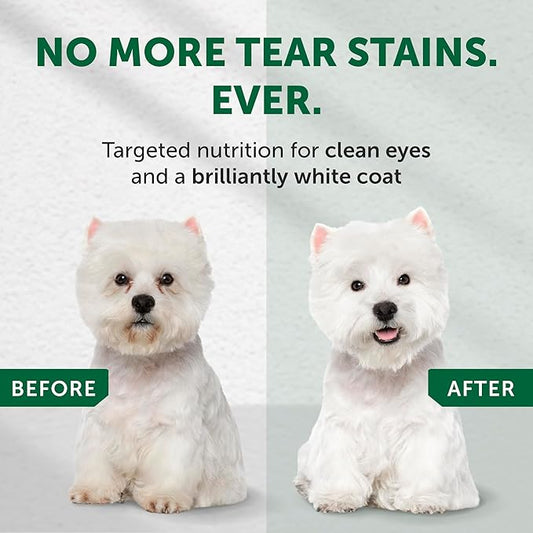 Nature's Protection Hypoallergenic Small Breed Dry Dog Food - High Protein, Grain Free Tear Stain Formula - Dog Kibble for Sensitive Stomachs for Adult Light Fur Dogs (Superior Care - Insect, 22 lb)
