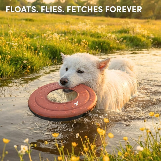 OllyDog Mini Super Flyer, Dog Flying Disc – Floating Fetch Toy, Soft on Teeth, Eco-Friendly Recycled Material, Lightweight, for Small & Medium Dogs (Desert, 9")