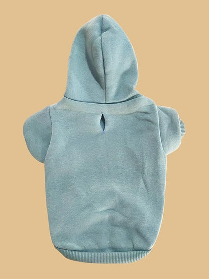 QWINEE Basic Dog Hoodie Sweatshirt Puppy Sweater Warm Cat Costumes Pet Clothes for Chihuahua Puppy Kitten Small Medium Dogs Cadet Blue X-Large