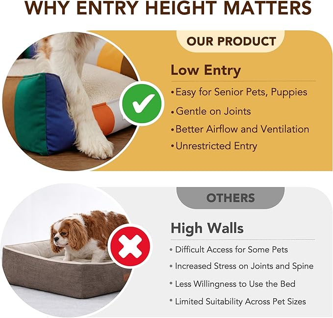PETNOVO Large Dog Bed with Washable Removable Cover, Reversible All-Season Cushion, Non-Slip Base, Rainbow Pattern, Eco Gift Box, 29.5 × 21.7 × 7.9 in