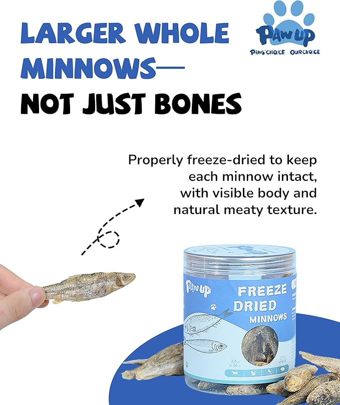 PAWUP Freeze Dried Minnows Dogs Treats – 100% Raw Single-Ingredient Pet Fish Snacks – Rich in Omega-3, Grain-Free – Healthy Training Rewards & Meal Toppers, 2.8 oz