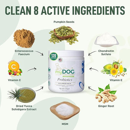 Probiotics for Dogs 120 Chews - Digestive Enzymes & Gut Health Support with Pumpkin Seed, Ginger Root – Dog Probiotics for Diarrhea, Bowel & Immune Support - Bacon Flavor, Soft Chews