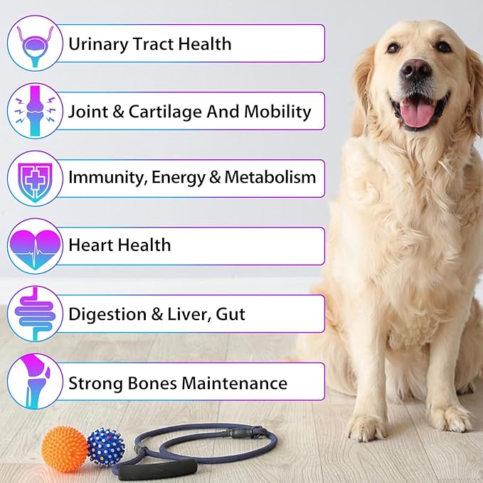 Dog Multivitamin Liquid - 15 in 1 Dog Vitamins Multivitamin, Support Skin & Coat, Heart, Bones and Joint Health, Pet Vitamins and Supplements (2 Fl Oz)