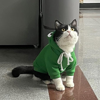 Dog Hoodie Basic Sweater Coat Cute - Frog Shape Warm Jacket Pet Cold Weather Clothes Outfit Outerwear for Cats Puppy Small Medium Dogs (XXL)