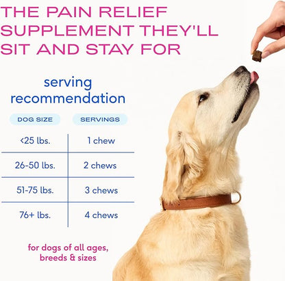 Native Pet Inflammatory Care - Pain Relief for Dogs - Green-Lipped Mussel, Turmeric & Collagen for Dogs - Hip and Joint Supplement Supports Healthy Inflammatory Response & Joint Comfort - 120 Chews