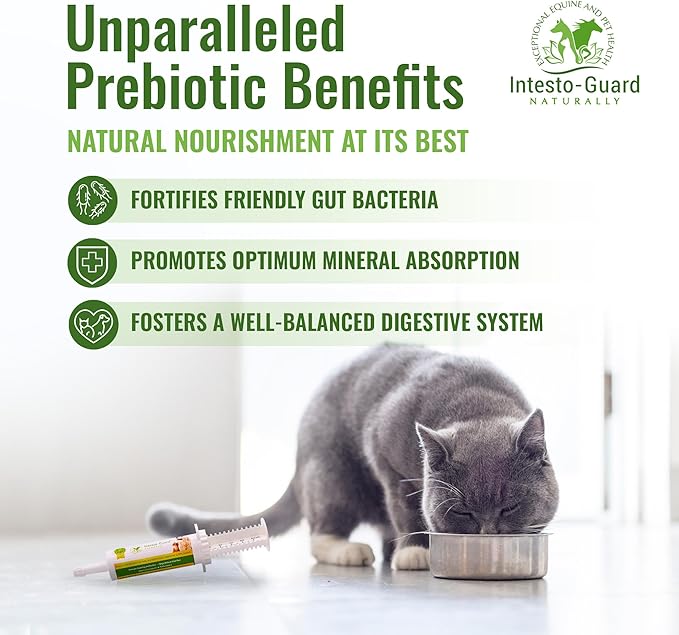 Probiotics Paste for Dogs Prebiotic for Canine, Gut Support, & Immune Boost, All Natural with 1 Billion per ML Includes (MOS)+ Beta Glucans + D-Mannose, No Animal by-Products - 60ML Single Tube