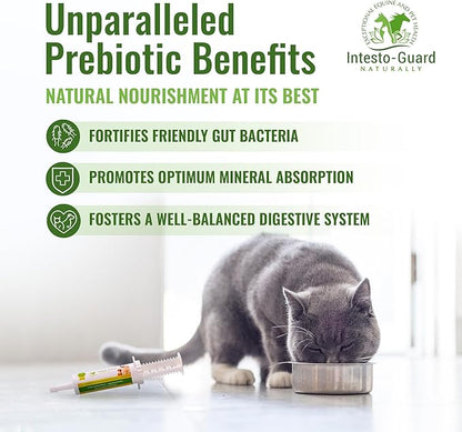 Probiotics Paste for Dogs Prebiotic for Canine, Gut Support, & Immune Boost, All Natural with 1 Billion per ML Includes (MOS)+ Beta Glucans + D-Mannose, No Animal by-Products - 60ML Single Tube