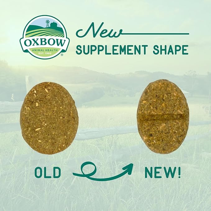 Oxbow Natural Science Joint Support Wafers for Small Animals, Glucosamine Supplement for Rabbits, Guinea Pigs & Chinchillas, Mobility Support, Timothy Hay Treats, Made in USA, 4.2 oz, (3 Pack)