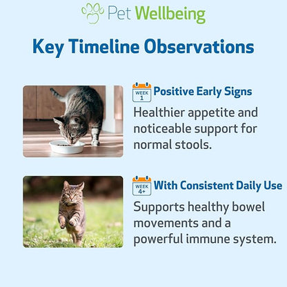 Pet Wellbeing Ultimate Probiotic 9 Strains with FOS Prebiotics for Cats - Digestive Health, Immune Support & Gut Flora Balance - NASC Certified & Vet-Formulated - 160 g Powder