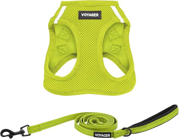 Best Pet Supplies Voyager Step-in Air All Weather Mesh Harness and Reflective Dog 5ft Leash Combo with Neoprene Handle, for Small, Medium and Large Breed Puppies - Set (Lime Green), X-Small