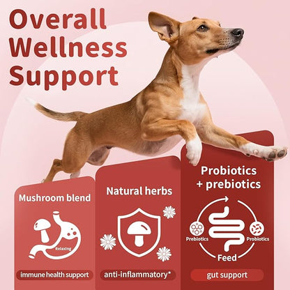 Turkey Tail Mushroom for Dogs, Dog Allergy Chews, Probiotics for Dog Allergy Relief - Itchy Skin Allergy Paw Relief - Seasonal Allergies & Immune Gut Health & Joint, Chicken Flavor - 90 Count