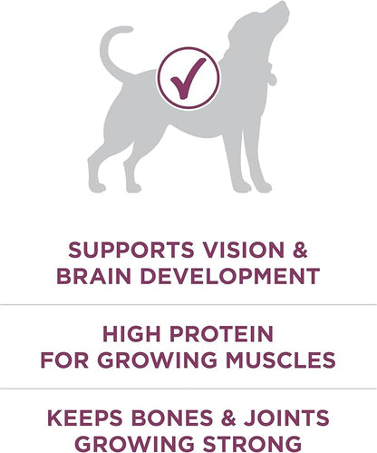 Purina ONE Plus Healthy Puppy Formula High Protein Natural Dry Puppy Food with added vitamins, minerals and nutrients - 31.1 lb. Bag