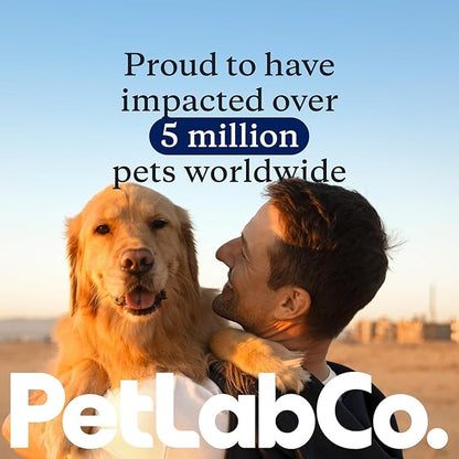 PetLab Co. Dental Sticks – Dog Dental Chews -Target Plaque & Tartar Build-Up at The Source - Designed to Maintain Your Dog’s Oral Health, Keep Breath Fresh and Provide Digestive Help (24 Sticks)