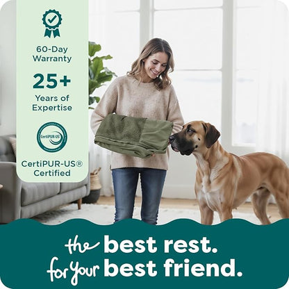 Furhaven Replacement Dog Bed Cover Faux Fur & Velvet Sofa-Style, Machine Washable - Dark Sage, Medium