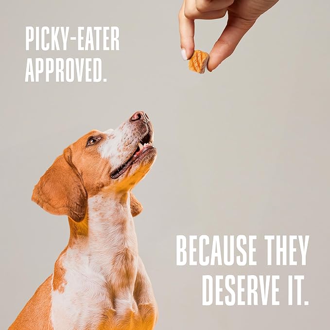 Whole Life Dog Just One Salmon Freeze Dried Dog Treats - Human Grade High Protein Food, Healthy Training Snacks, Freeze Dried Salmon Food Toppers, USA Made Natural Treats - 2 oz (Value Pack of 1)