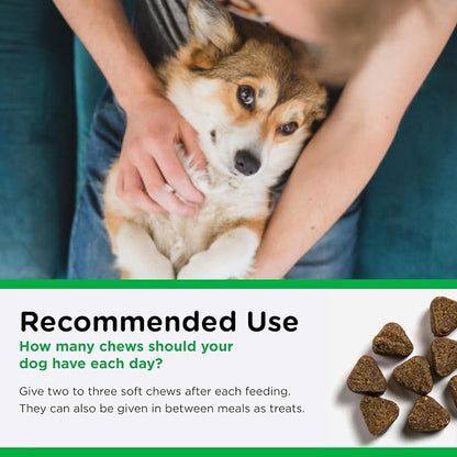 Nutri-Vet Dental Health Soft Chews for Dogs, Puppy Essentials, Plaque Remover, Pet Supplies, Dog Breath Freshener, Promotes Healthy Teeth and Gums, Dental Chews, Natural Hickory Smoke Flavor, 70 Count