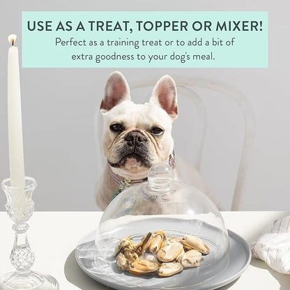 The New Zealand Natural Pet Food Co. WOOF Freeze Dried Dog Treats - High Protein, Small & Large Dog, Natural, Topper, Treat, Green Mussels - 1.76 oz