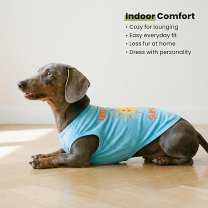 Fitwarm You are My Sunshine Dog Shirt, Tropical Summer Clothes for Small Dogs Boy Girl, Funny Pet Outfit, Blue, Yellow, XL