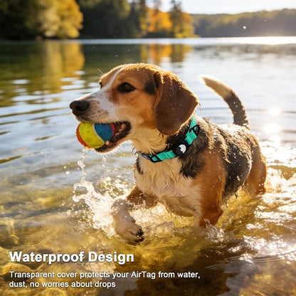 Taglory AirTag Dog Collar with Waterproof Holder for Medium Dogs, Turquoise | Reflective for Night Walks & Low-Light Safety, Track Your Pup Peace of Mind, Adjustable Soft Padded, No More Dangling Tags, M