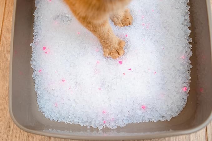 Calitti Premium Crystal Cat Litter – Ultra Absorbent & Maximum Odor Control – 99.9% Dust-Free, Low Tracking, Non-Clumping Silica Gel – Unscented – 16 lb (2 x 8 lb Packs)