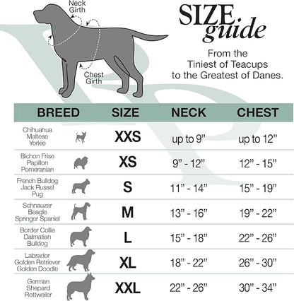 Pet Passion Cooper II Organic Cotton Velour Dog Hoodie Pet Coat for Small, Medium and Large Dogs, Sage, XX-Large (70-110 lbs)
