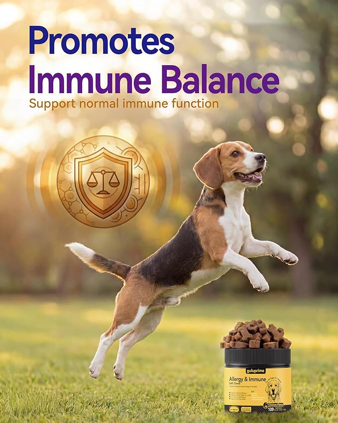 Dog Allergy Relief Chews – Seasonal Allergy Support for Dogs with Environmental Sensitivities, Immune & Gut Health Soft Chews for Allergy-Prone Dogs