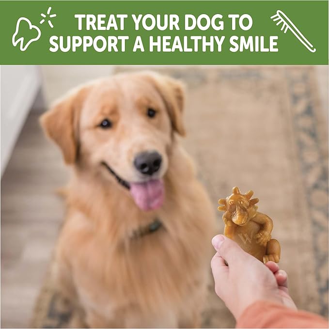 Wellness WHIMZEES Hedgehog Dog Dental Treat, Chews, Freshens Breath, Large Size, 12.7 oz Bag, 6 Count