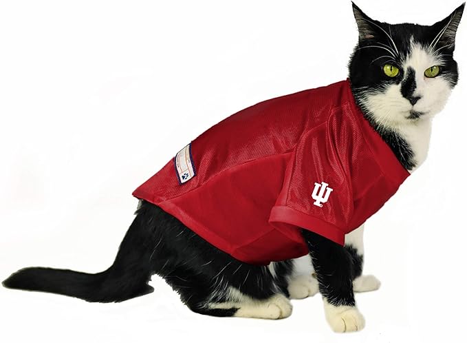 Littlearth NCAA Arizona Wildcats Stretch Pet Jersey, Team Color, Medium