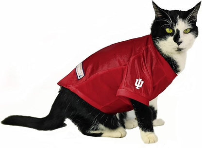 Littlearth NCAA Arizona Wildcats Stretch Pet Jersey, Team Color, Medium