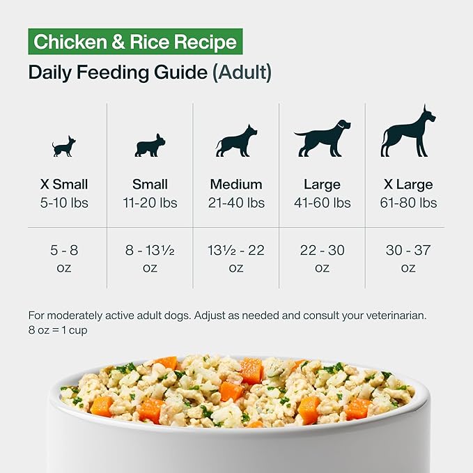 JustFoodForDogs Pantry Fresh Wet Dog Food, Complete Meal or Topper, Chicken & White Rice Human Grade Recipe - 12.5 oz (Pack of 6)