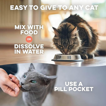 Cat Itchy Skin Relief & Hair Loss Treatment, Holistic Allergy Relief for Cats Calms Dry Skin, Dandruff & Reduces Licking, Scratching, Patchy, Matted and Shedding Fur, 400 Easy to Use Pills