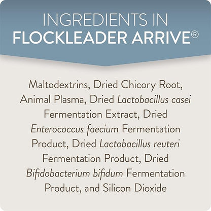 FlockLeader Arrive, Daily Probiotic & Prebiotic Water Supplement for Young Chickens 0-8 Weeks Old, 8 oz (Pack of 2)