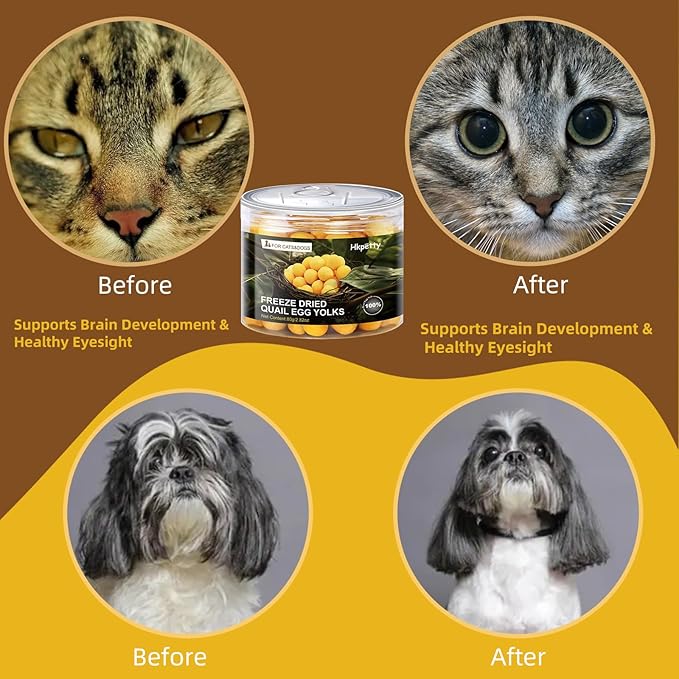 Freeze Dried Cat and Dog Treats Quail Egg Yolk, Healthy Tasty Snacks for Cats Dogs Training, Natural Freeze-Dried Limited Ingredient,Wholesome and Delicious Snacks for Pets (S, Quail)