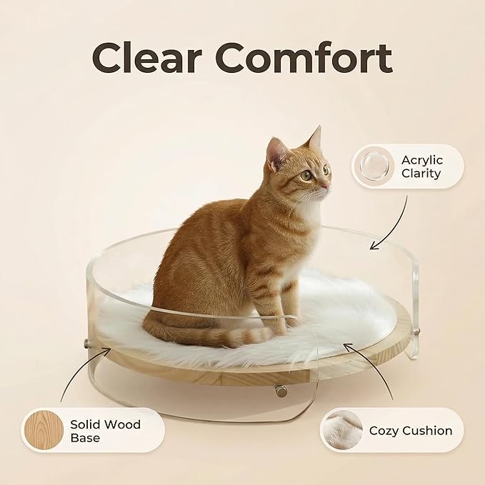 Modern Clear Acrylic Pet Bed ，cat beds for Indoor Cats，cat Bed - Contemporary pet Furniture, Comfortable pet Bed and Sofa for Small Dogs, Indoor pet Bed