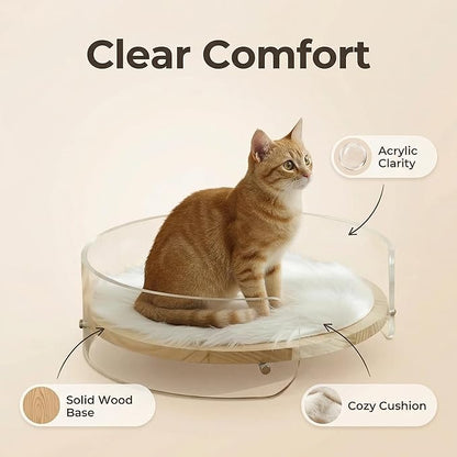 Modern Clear Acrylic Pet Bed ，cat beds for Indoor Cats，cat Bed - Contemporary pet Furniture, Comfortable pet Bed and Sofa for Small Dogs, Indoor pet Bed