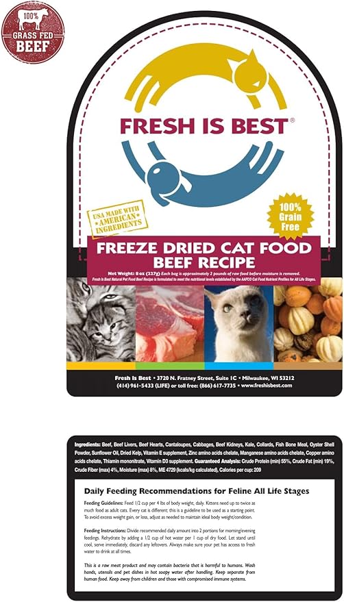 Fresh Is Best Beef Freeze Dried Cat Food – Raw Cat Food for Kittens & Adult Felines – High-Protein Freeze Dried Beef in Resealable Zipper Bag – Made in the USA – 8 oz