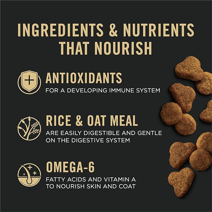 Purina Pro Plan Sensitive Skin and Stomach Kitten Food Salmon and Rice Formula - 7 lb.