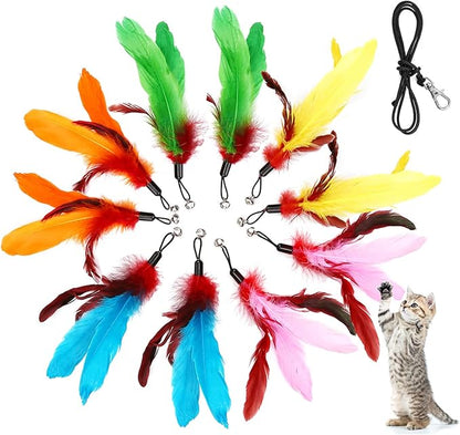 MeoHui 11PCS Cat Feather Toys Refills, 10PCS Feathers and 1PC String, Interactive Cat Wand Toy Replacement for Bored Indoor Adult Cats & Kittens