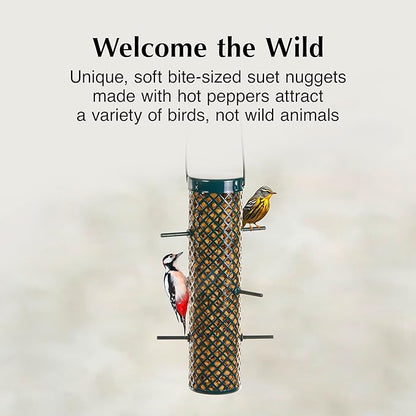 C&S Hot Pepper Suet Nuggets, Outdoor Wild Bird Food for Woodpeckers, Chickadees, Cardinals, Nuthatches and More, 27 Ounces