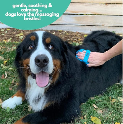 Mighty Mutt Dog Bath Brush | Massage Rubber Soft Bristle Brush for Easy Pet Grooming | Wet or Dry Dog Shampoo | Soothing, Deep Cleaning Dog Scrubber for Bath | Dogs & Cats