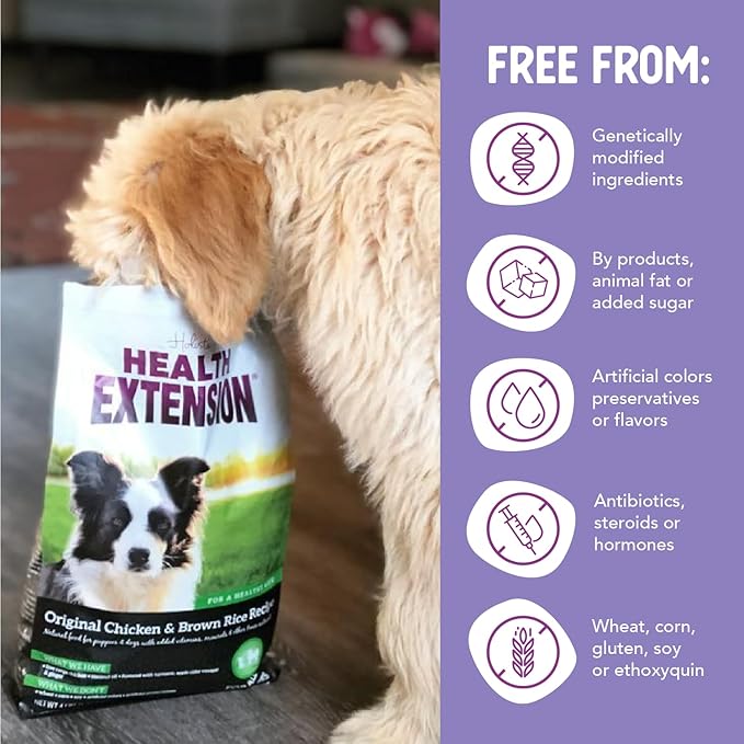 Health Extension Original Chicken & Brown Rice, Protein Packed Formula with Probiotics & Superfoods for Digestion & Coat Health (30 lb Bag)