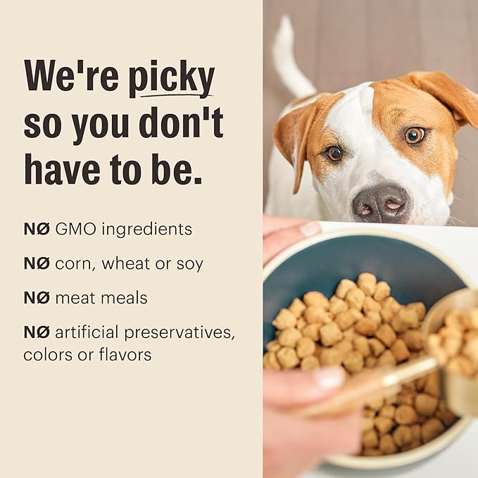 The Honest Kitchen Whole Food Clusters Puppy Grain Free Chicken Dry Dog Food, 20 lb Bag